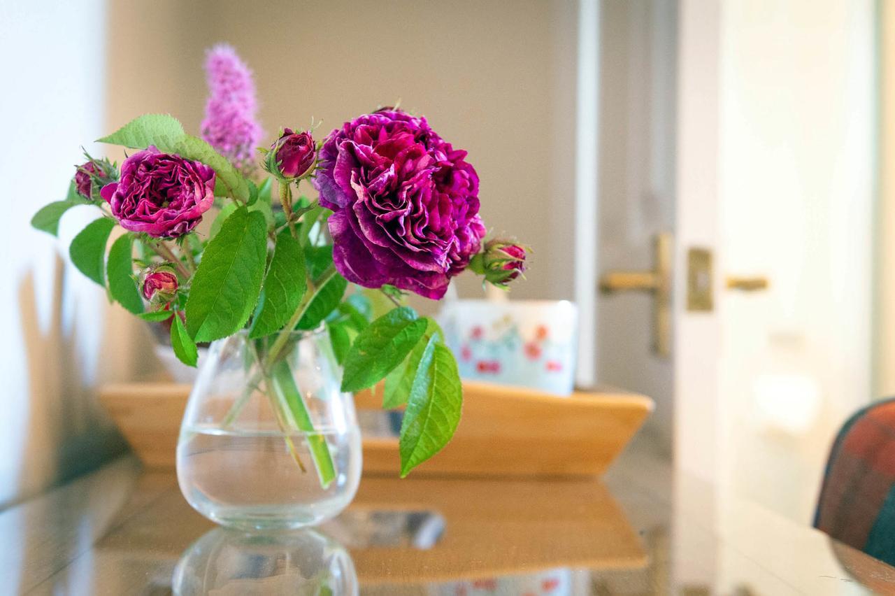 The Dinney B&B Bridgnorth Εξωτερικό φωτογραφία
